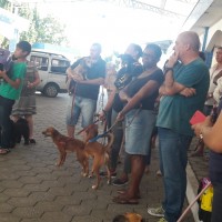 Bênção aos Animais 04 10 2019 (13)