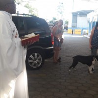 Bênção aos Animais 04 10 2019 (15)