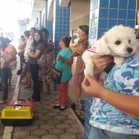 Bênção aos Animais 04 10 2019 (4)