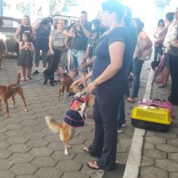 Bênção aos Animais 04 10 2019 (5)